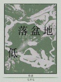 低落盆地结局